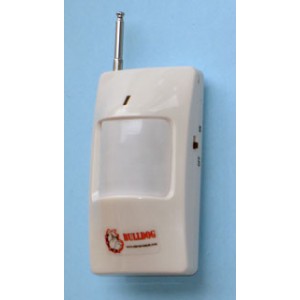 Wireless Motion Detector